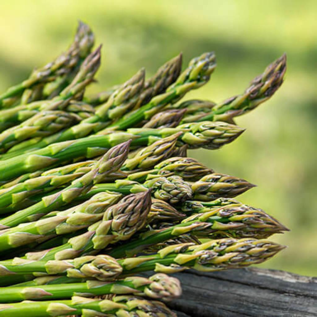 Asparagus stem