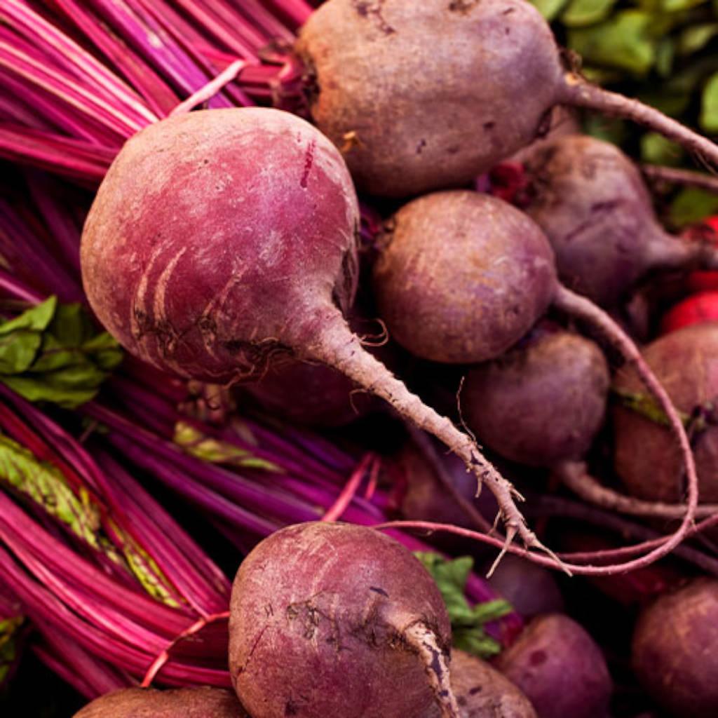 Red beet root