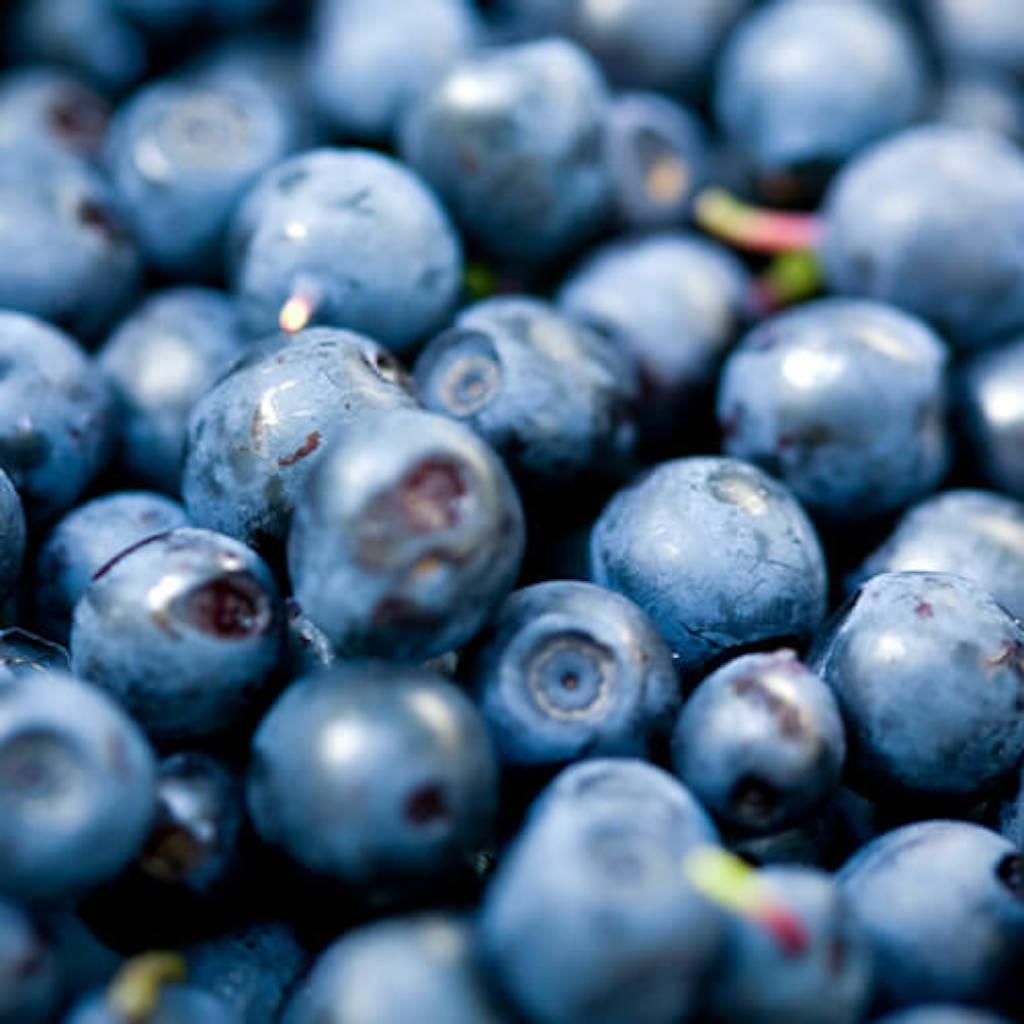 Bilberry fruit