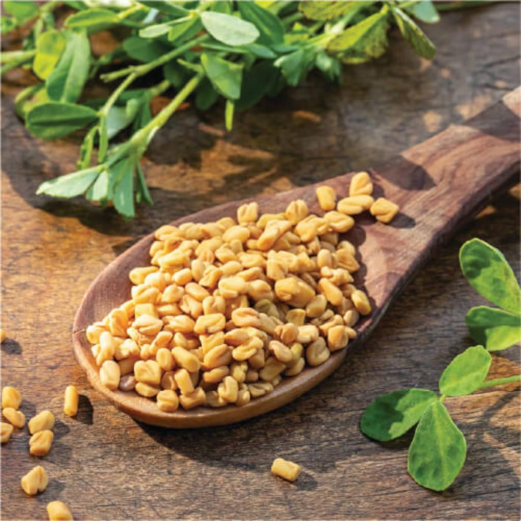 Fenugreek Seeds