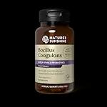 Bacillus Coagulans, NutriBiome (90 capsules)