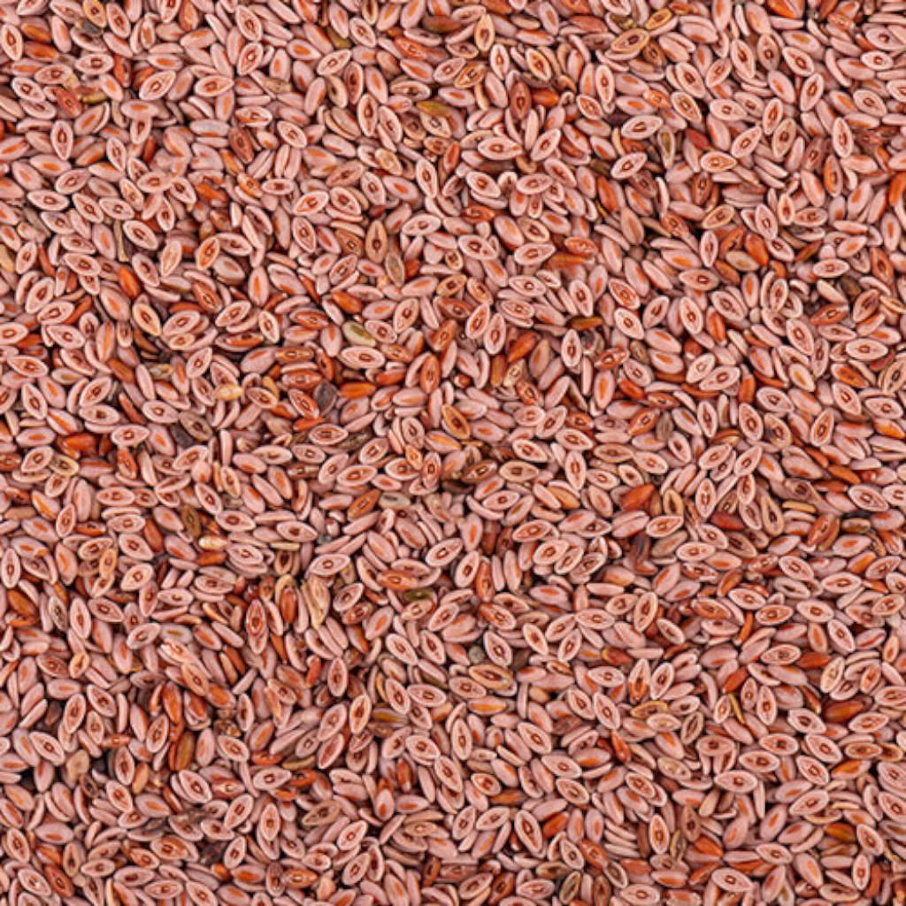 Psyllium Hulls