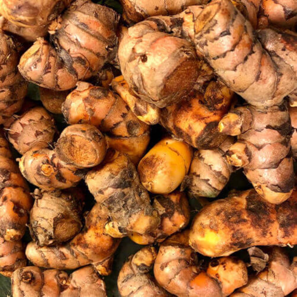 turmeric root